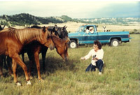 Mae & fillies on the Ranch