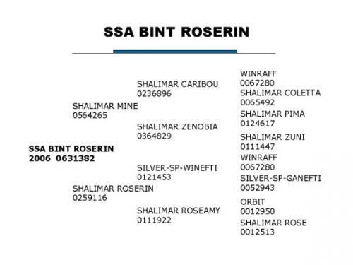 SSA Bint Roserin