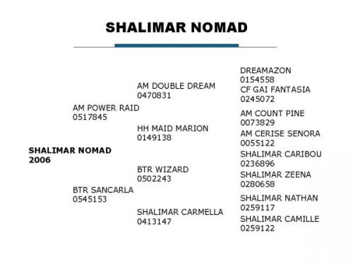 Shalimar Nomad