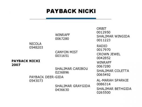 Payback Nicki