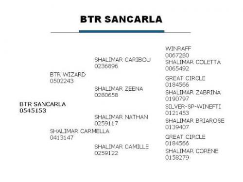 BTR SanCarla