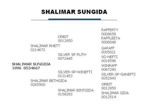 Shalimar SunGida