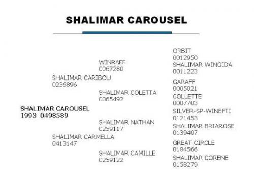 Shalimar Carousel