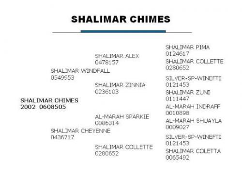 Shalimar Chimes