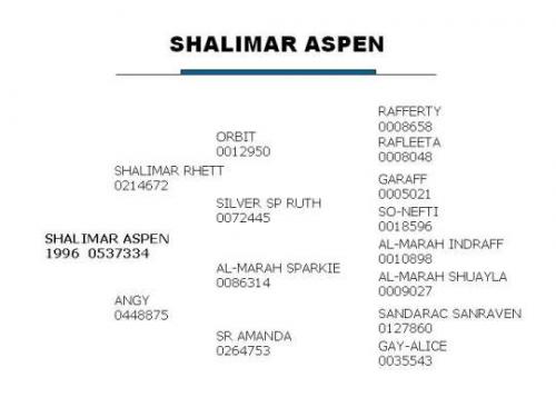 Shalimar Aspen