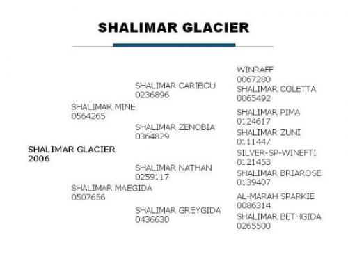 Shalimar Glacier