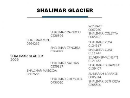 Shalimar Glacier