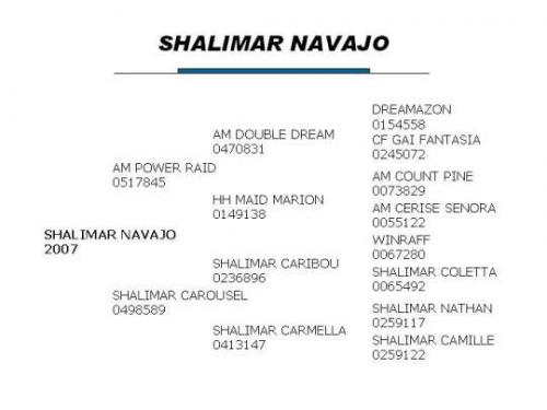 Shalimar Navajo