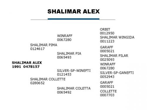 Shalimar Alex