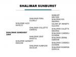 Shalimar Sunburst