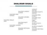 Shalimar Gigalo